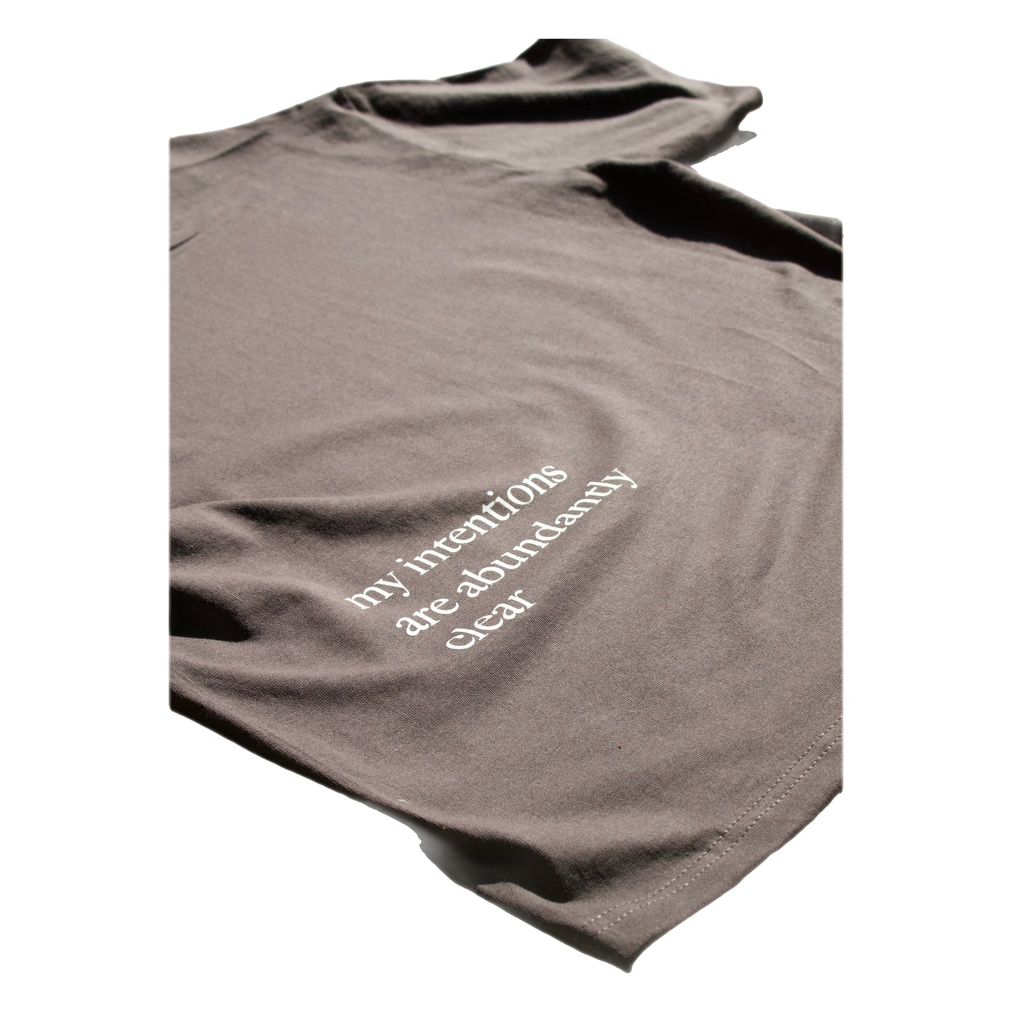 "intentions" box cut tee