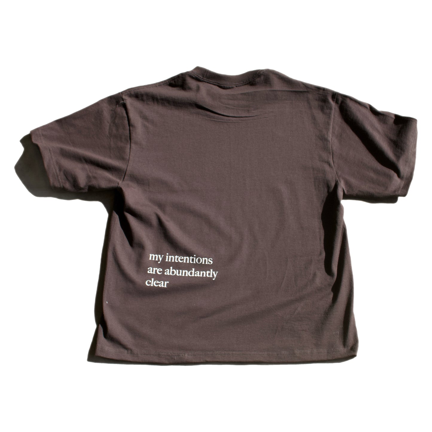 "intentions" box cut tee